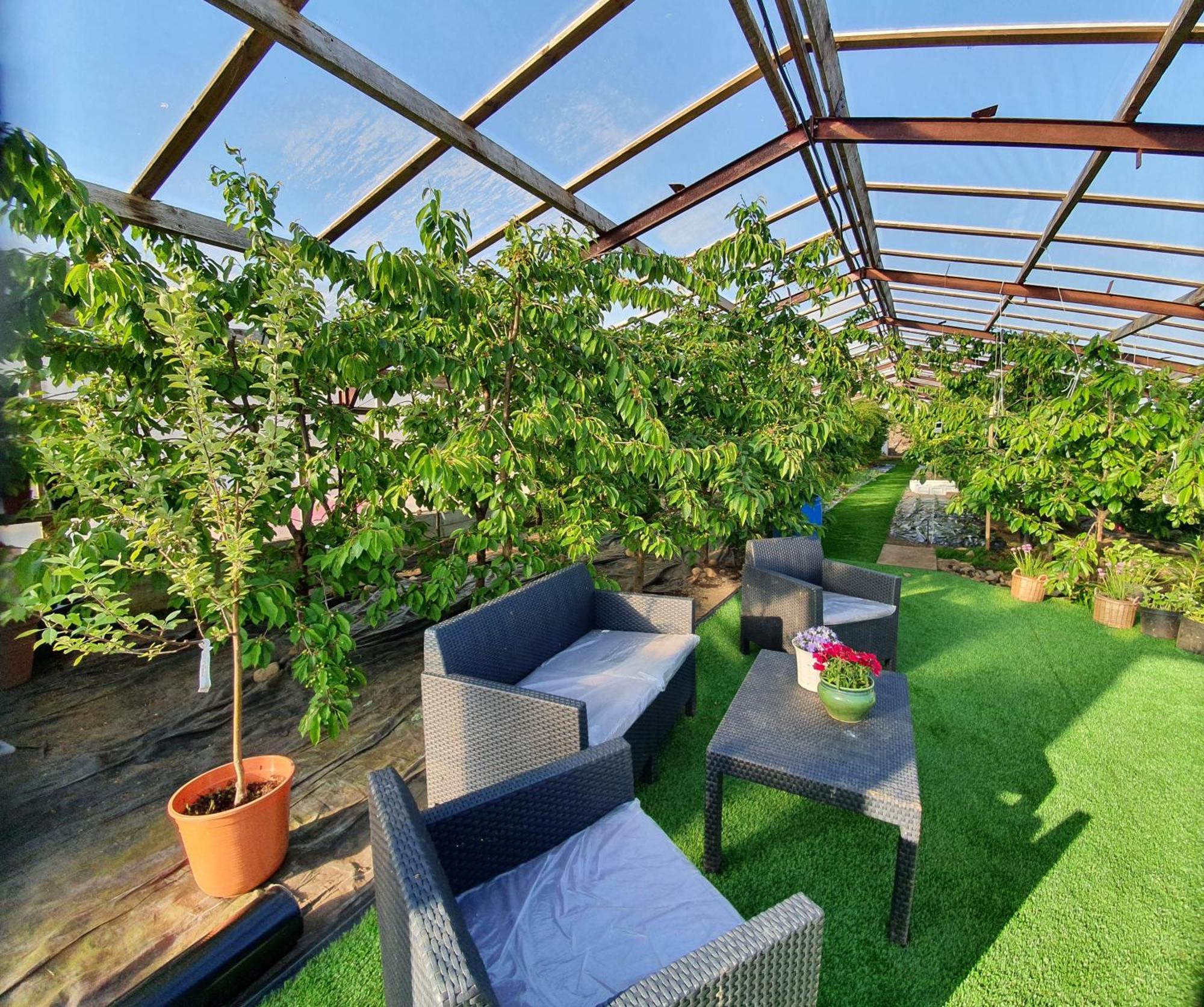 Svansholl Apartments Kaldrananes Εξωτερικό φωτογραφία